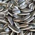 Wholesale 2019 New Harvest 361 Sunflower Seeds with Shell